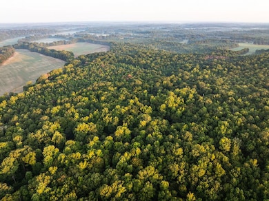 0 Deer Hill Rd unit LotWP001 24553785, Fulton, MS 38843 - photo 6