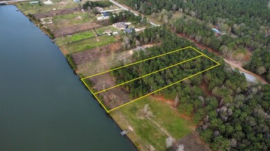 2027 White Buck Ct, Cleveland, TX 77328 - photo 4