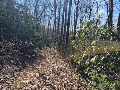 Lot 16 Warrior Way, Andrews, NC 28901 - photo 5