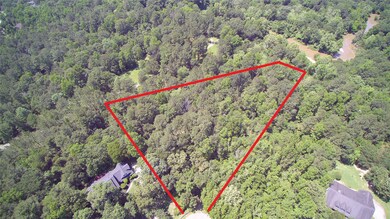 2635 E Blue Lake Dr, Magnolia, TX 77354 - photo 7