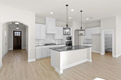 3145 Ferry Boat Ln, Granbury, TX 76049 - photo 4