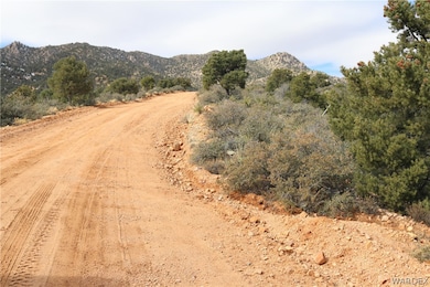 TBD E Mountain Springs Rd, Hackberry, AZ 86411 - photo 4