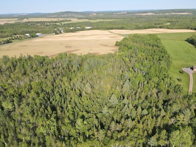 dji_fly_20250603_171828_132_174916043139