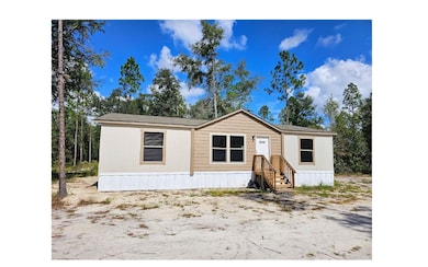 18180 180th St, Live Oak, FL 32060 - photo 2