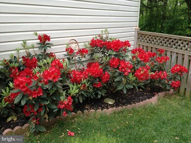 19700 Maycrest Way, Germantown, MD 20876 - photo 5