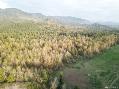 37404 304th Ave SE, Enumclaw, WA 98022 - photo 3