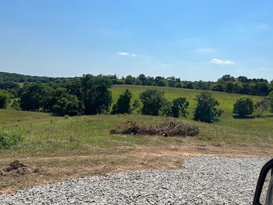 4005 Randolph Rd, Edmonton, KY 42129 - photo 4