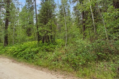 517 Susan Rd unit 41, Cascade, ID 83611 - photo 4