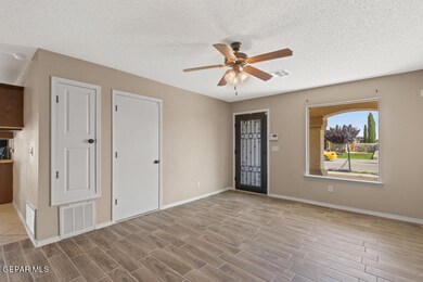 14312 Desert Cactus Dr, Horizon City, TX 79928 - photo 6