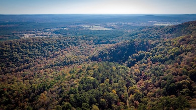 CR185 Camilla Springs, Glenwood, AR 71943 - photo 7