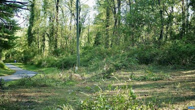 0 Red Hill Heights Rd, North Garden, VA 22959 - photo 4