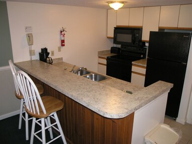 164 Deer Park Dr unit 177C, Woodstock, NH 03262 - photo 5