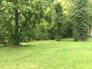 117 Panda Pkwy unit Lot 64, Tamassee, SC 29686 - photo 5