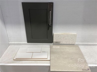 Design Selections. Home is under construction, selections are subject to change. 