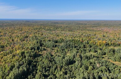 TBDE20 Firesteel Rd, Ontonagon, MI 49953 - photo 5