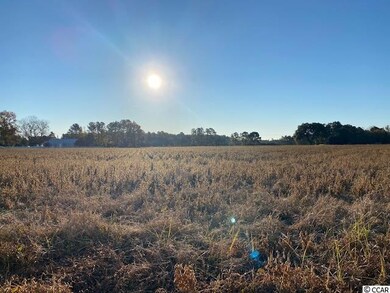 27.9 Acs Highway 65, Conway, SC 29526 - photo 2