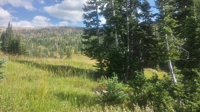 712 E Steam Engine Dr unit SEM 1A-1, Brian Head, UT 84719 - photo 6