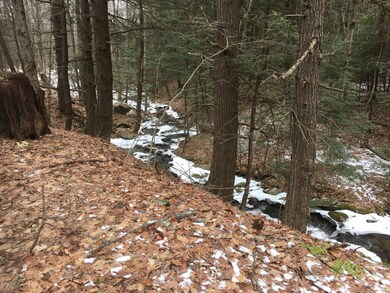 unlisted-address, Great Barrington, MA 01230 - photo 6