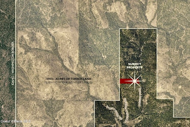 16701 N Right Fork Rd, Hauser, ID 83854 - photo 3