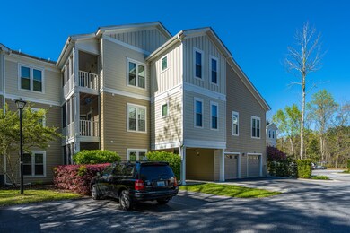2331EgretLane05