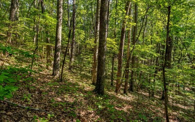 L11 Mattie Ln, Blairsville, GA 30512 - photo 4