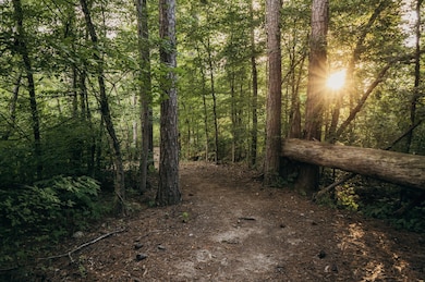 156 Cobbler Ct, Chattanooga, TN 37421 - photo 7