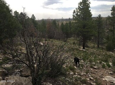 4675 Lookout Point Rd unit 117, Happy Jack, AZ 86024 - photo 7