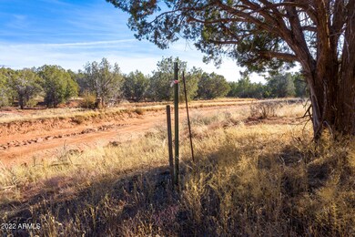 24424_Image_5
