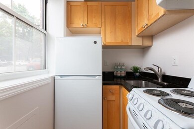 4 Arlington St unit 4, Cambridge, MA 02140 - photo 6