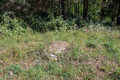 7565 S County Rd 800 W, Paris Crossing, IN 47270 - photo 5