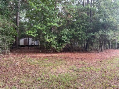 14921 Druid St, Conroe, TX 77302 - photo 7