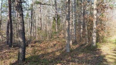 4129 River Birch Dr unit 6, Iron Station, NC 28080 - photo 4