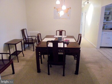 55 Skyhill Rd unit 202, Alexandria, VA 22314 - photo 3