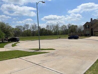 21610 Parsley Mist Ln, Richmond, TX 77469 - photo 4