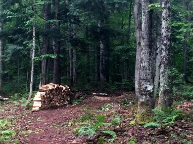10 Acres - Tahquamenon Woods
