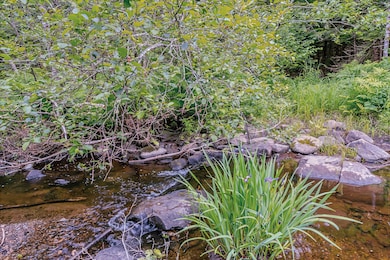 Penny Brook