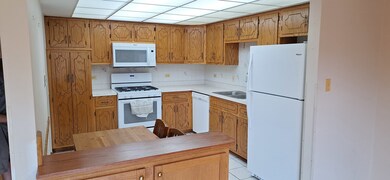 11001 Stony Creek Dr unit 2C, Palos Hills, IL 60465 - photo 4