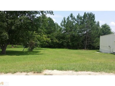 0 Jackson Ave unit 10548102, Helena, GA 31037 - photo 6