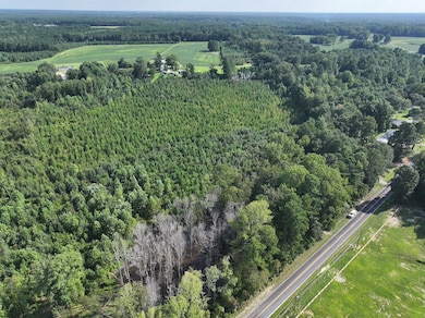 Rd unit LotWP001, Zebulon, NC 27597 - photo 2