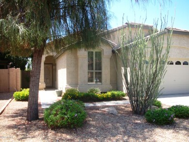Front yard