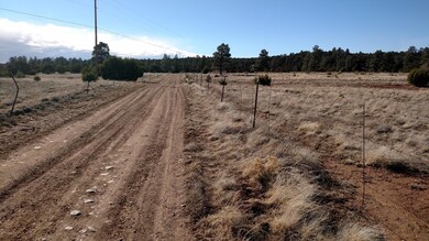 006B Field, Overgaard, AZ 85933 - photo 6