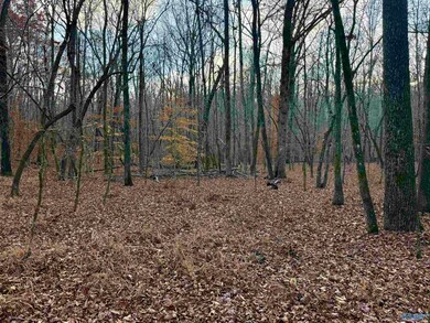 3 County Road 137 unit 504549, Cedar Bluff, AL 35959 - photo 5