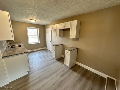 1539 Mount Carmel Dr, Wickliffe, OH 44092 - photo 3