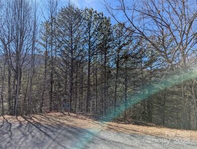 94 Trillium Ln unit C2, Black Mountain, NC 28711 - photo 4