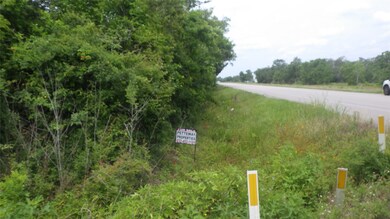 FM 521 at CR 461 Fm 521 Rd, Brazoria, TX 77422 - photo 3