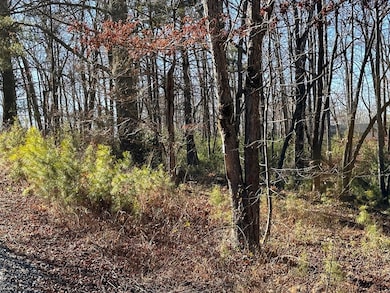 Lot 14 Fairview Way, Blue Ridge, GA 30560 - photo 5