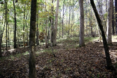 Lt.177 Laurel Way, Sparta, GA 31087 - photo 5