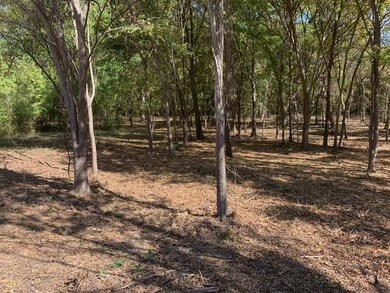 0 Mockingbird Ln, Shawnee, OK 74804 - photo 7