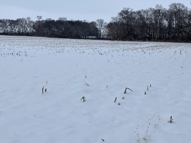 403 E 2nd St, Tampico, IL 61283 - photo 3