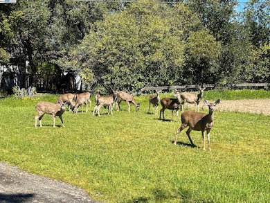 401 Pine Creek Rd, Walnut Creek, CA 94598 - photo 3